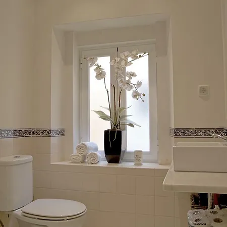 Sunny Sao Paulo Apartment